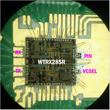 WingCOMM 25G/100G high speed solution